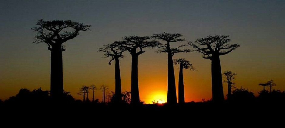Coucher du soleil � Madagascar